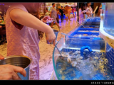 在长春品尝“丰盛的海鲜自助餐”（2）