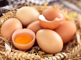 关于吃鸡蛋的若干问题