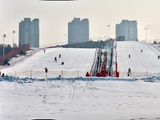 蛇年冬月弯道山滑雪场