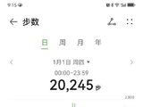 新年到了、你能行、日行20245步