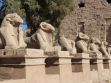 2024北非三国行记（7）卢克索（6）卡尔纳克神庙（上）