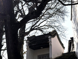 12046七律·衡山之福严寺：天下法院-冬湘散记202512(56)
