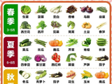 应季果蔬盘点（蔬菜篇）