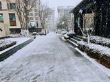 闲说杂绪（1114）20251212，第一场雪