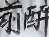 【原创】【书法典藏】梦儿书写(338)