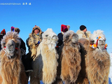 [转载]呼伦贝尔大雪原：民族风与浪漫情