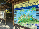 日本四國香川縣高松市栗林公園的櫻花