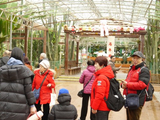 寿光菜博会珍奇植物馆参观（5）