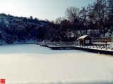 [转载]原创摄影：凤凰山雪景图