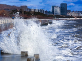 威海公园拍风浪