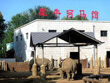 秋分后游览动物园（2）犀牛和河马