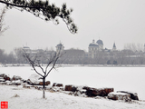 [转载]原创摄影：北国风光、雪花飘飘