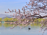 [转载]【颐和园】西堤春色好似江南