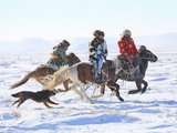 [转载][原创]雪原上的犬马追逐