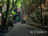 皇后阶梯和两座教堂【巴哈马*北美洲之旅】
