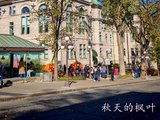 魁北克市政厅和花园【加拿大*北美洲之旅】