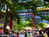 北京门头沟-24年5月潭柘寺（一）
