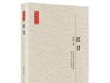 小说《红日》