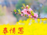 早春情思二首