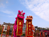 [转载]武汉东湖梅园：舞狮子