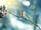 惊蛰赋