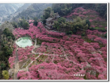 行走湘西：鸟瞰梅花山庄（上）