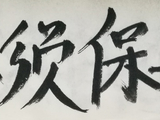 【原创】【书法典藏】梦儿书写(381)