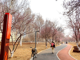 雨栖凤翔公园桃花大道掠影（2）