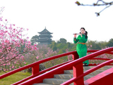 【樱花】樱园红桥应笛声