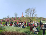 麦秀两岐·春游山花烂漫公园