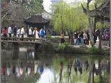 拂堤杨柳醉春烟——拙政园
