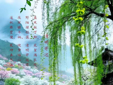 【五律】清明寄语