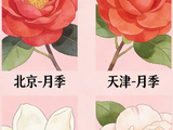 中国各省省花，你知道你们省的花是什么吗？