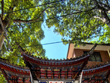 12401七绝·鸡足山之玉佛寺-宾川(21)-大理(61)-滇西十二日202602(131)