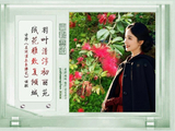 图联两副20260407