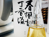 97@365(2026/04/07)：肆溢