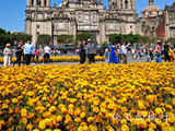 墨西哥城的地标--大都会大教堂【墨西哥*北美洲之旅】