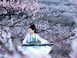 桃花源