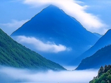 【新编诗与詞】习作《青玉案-踏青》一阕