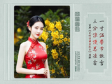 图联两副20260411