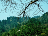 [转载]东坪城北月形山，山上风光好养眼。