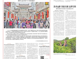 满街蔷薇一路香