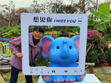 [转载]广东行·珠海花海长廊二（手机片）