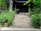 天平山杜鹃花节