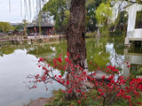 106@365两口子游常熟·曾赵园