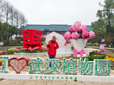 在雨中，漫步武汉植物园