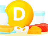 【饮食营养】维生素D——免疫力的调节剂