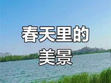 春天里的美景（十）