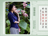 图联三副20260420