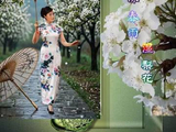 【书墨红苑】同题诗《蒙蒙春雨湿梨花》